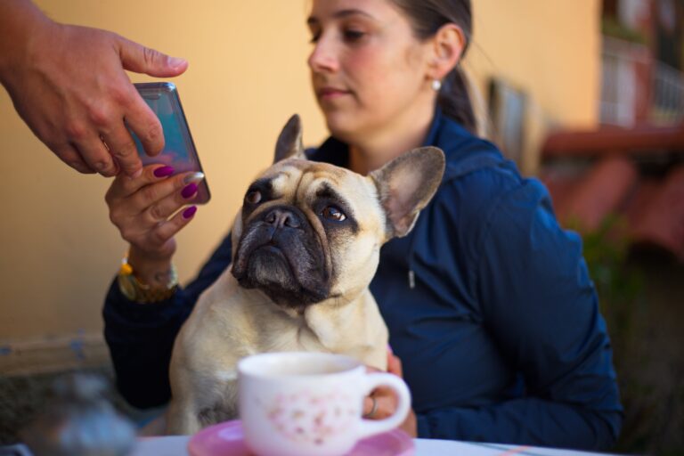 Read more about the article The Best Dog-Friendly Cafes in Tampa Bay